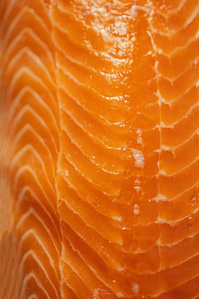 Wild Alaskan Salmon Oil